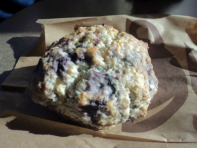 Second Cup - Blueberry Scone