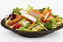 Mcdonalds Chicken Ceaser Salad With Crispy Chicken and Lite Italian Dr