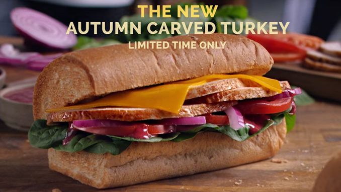 Subway - Turkey Wrap W Cheese and Honey Mustard