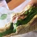 Subway Turkey Sandwich 6