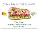 Subway - Orchard Chicken Salad With Veggies/Pepperjack Cheese