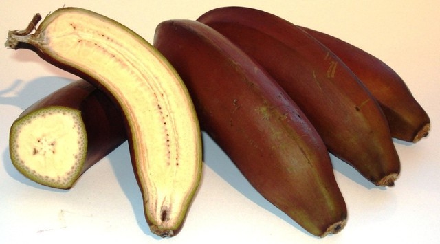 Banane, deshidratate, sau pudra de banane