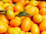 Kumquats, fresh