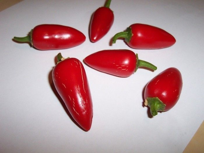 Ardei chili (iute) jalapeno, crud