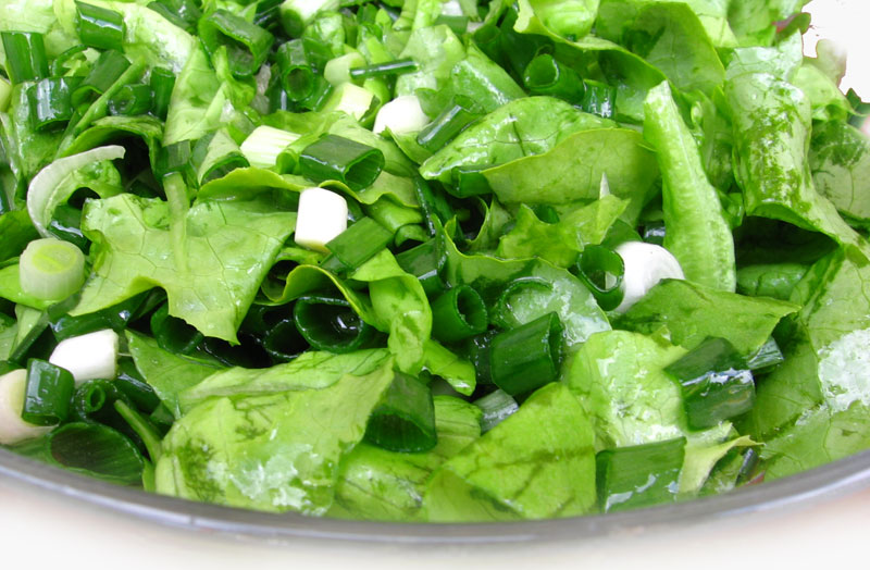 Salata verde cu ceapa