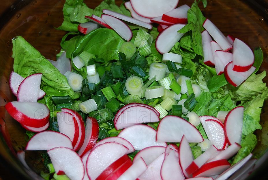 Salata verde cu ridichi si ceapa verde