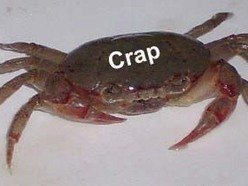 Crap crab