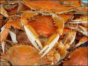Crab, Alaska regal, gatit, fiert / la abur / innabusit