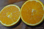 Suc de portocale si fructul pasiunii, J2O